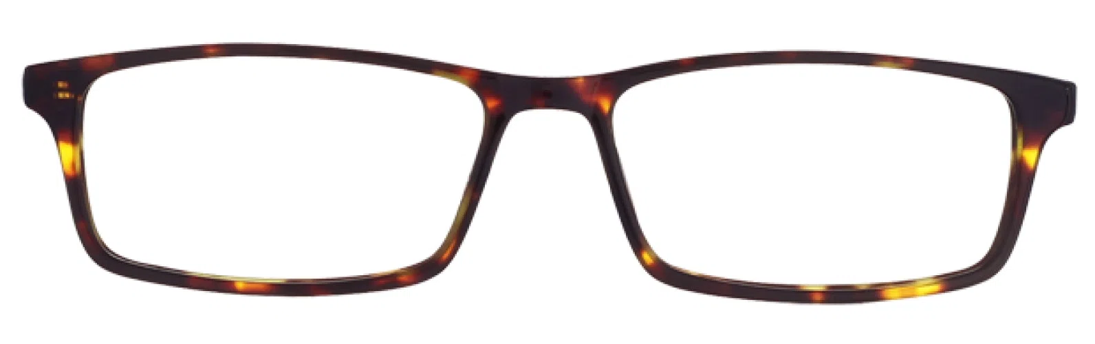 Stetson S309 Eyeglasses - view 7